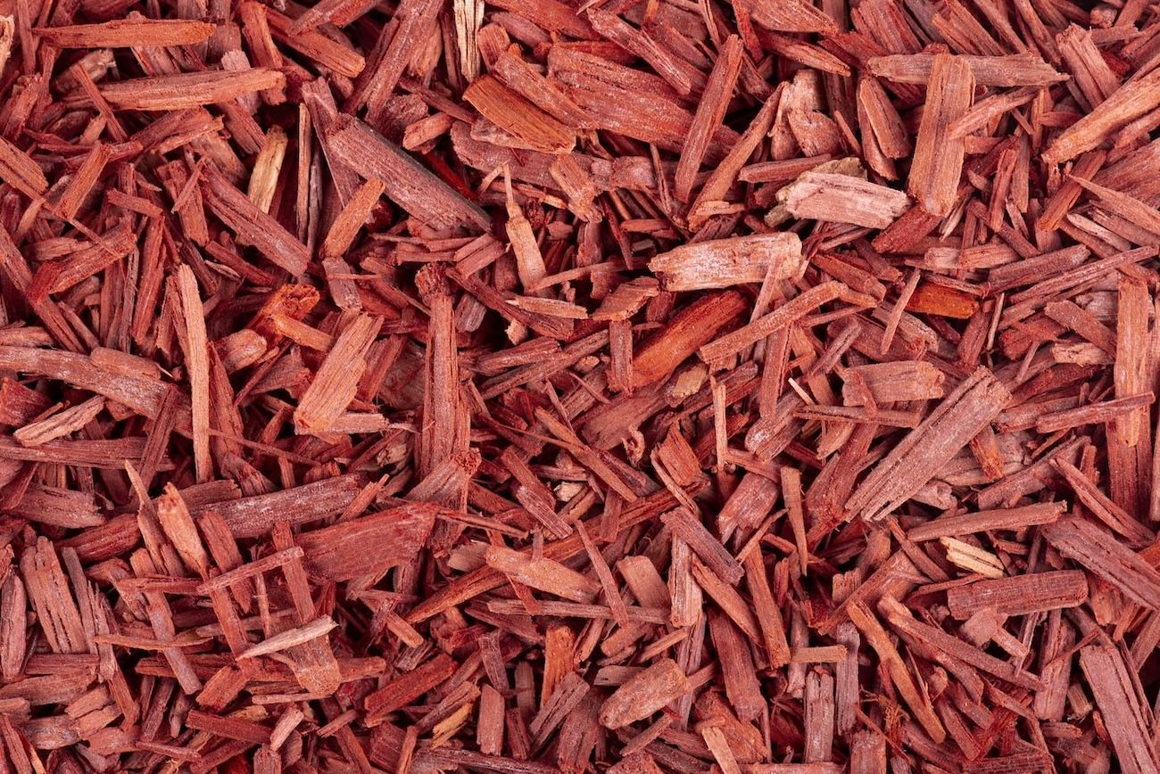 Sandalwood and santal fragrance oil