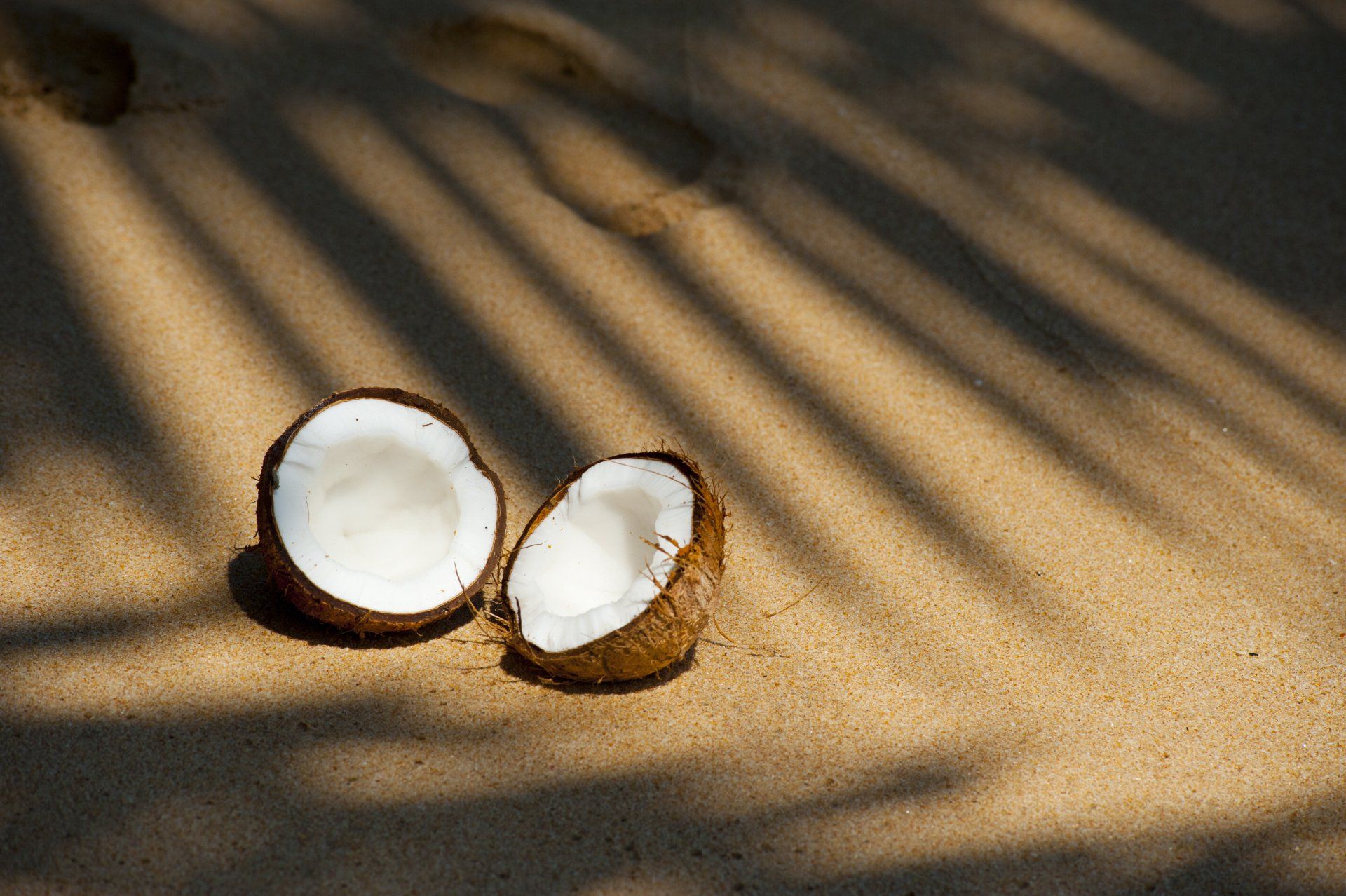 Coconut Candle fragrance oil