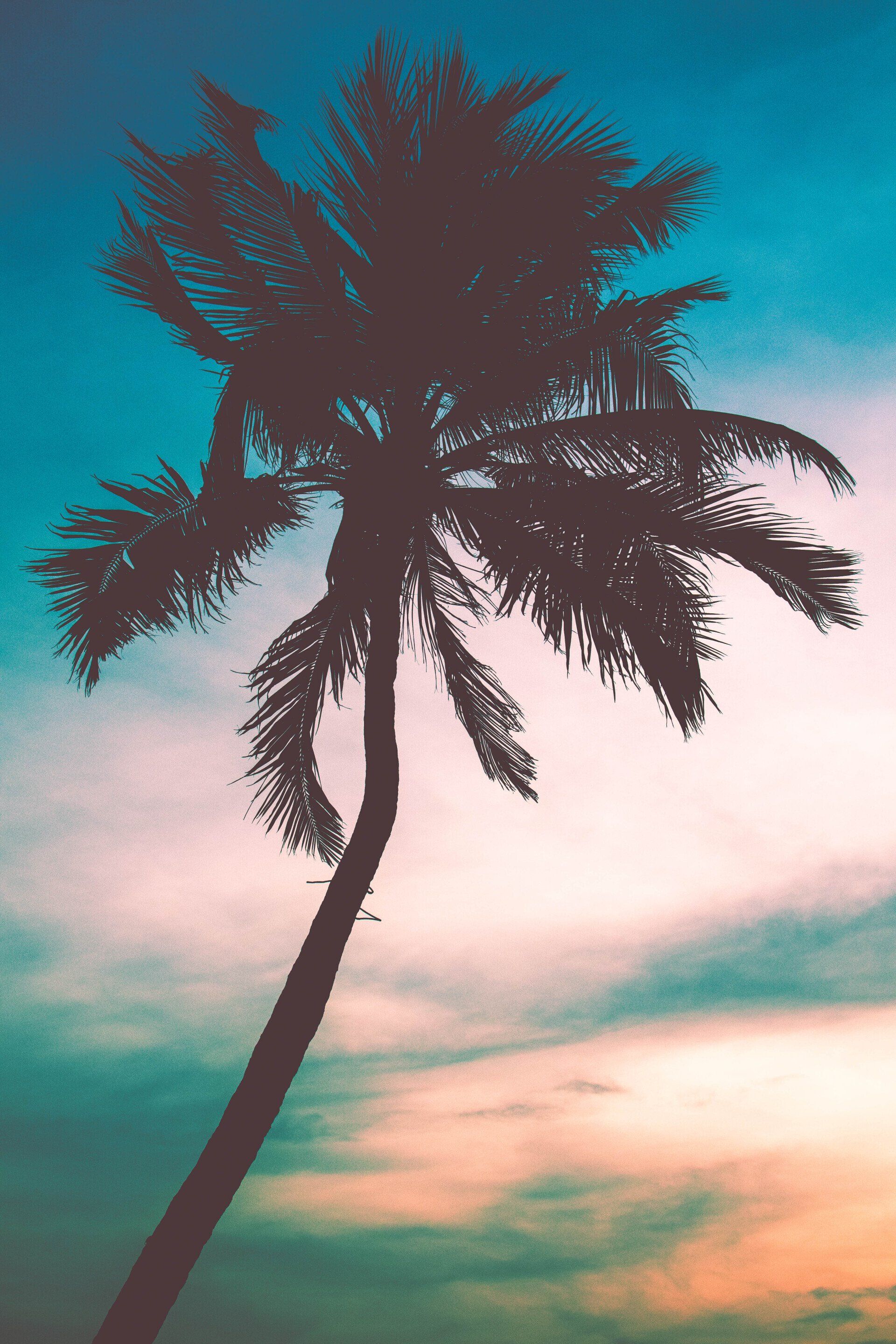 Tropical Romantic Scents